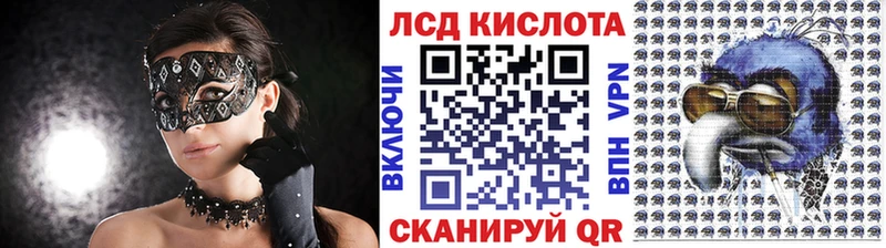 дарнет шоп  Власиха  Марки NBOMe 1,8мг 